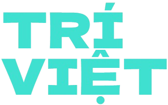 CÔNG TY TNHH GIẢI PHÁP NHÂN LỰC TRÍ VIỆT